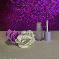 Stardust Flavors Lip Gloss